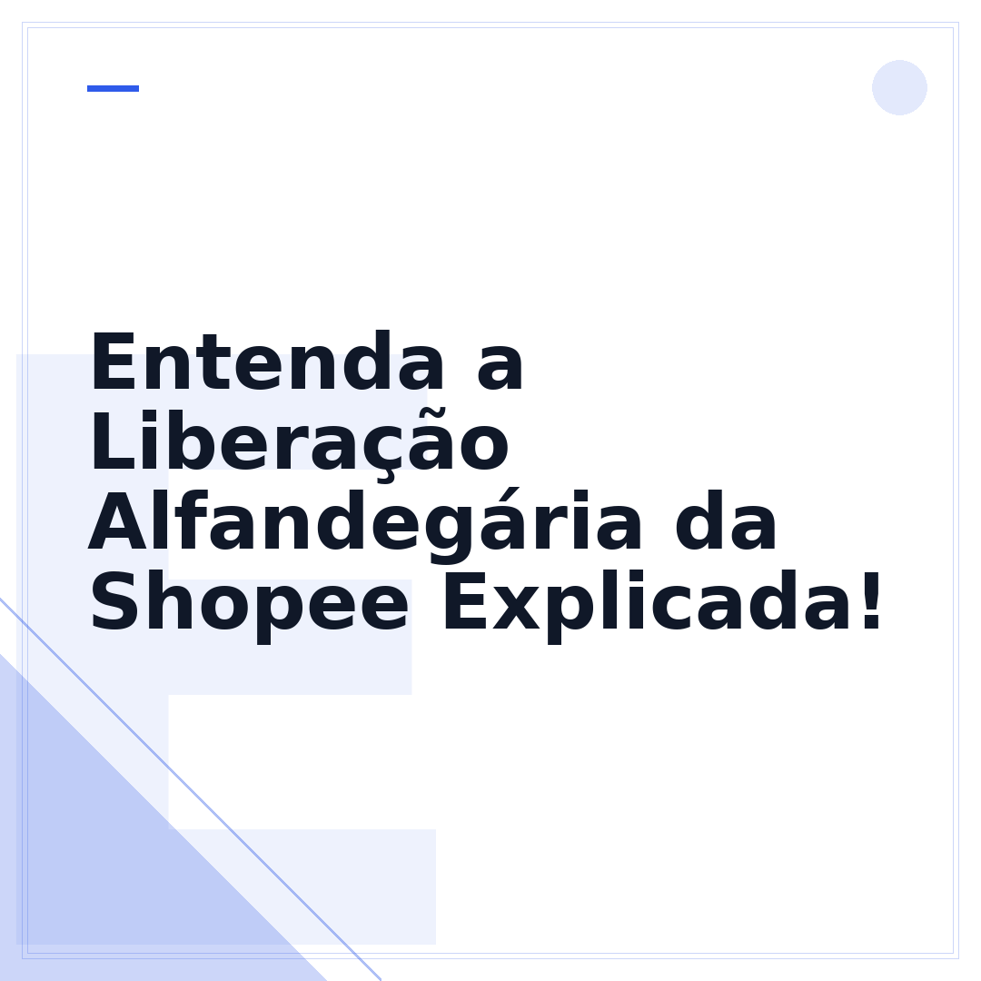 Entenda a Liberação Alfandegária da Shopee Explicada!