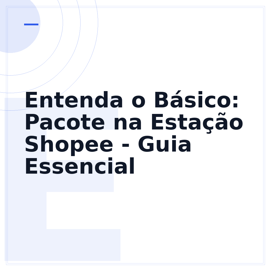 Entenda o Básico: Pacote na Estação Shopee - Guia Essencial