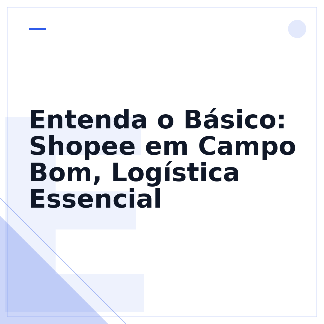 Entenda o Básico: Shopee em Campo Bom, Logística Essencial