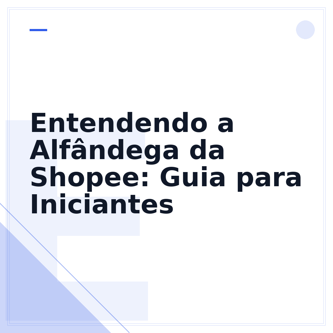 Entendendo a Alfândega da Shopee: Guia para Iniciantes