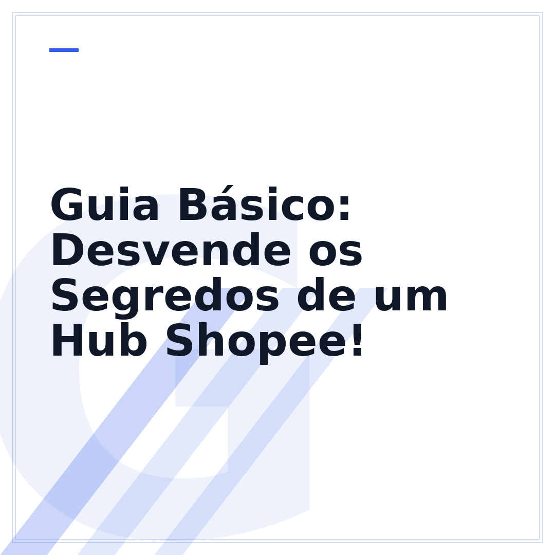Guia Básico: Desvende os Segredos de um Hub Shopee!
