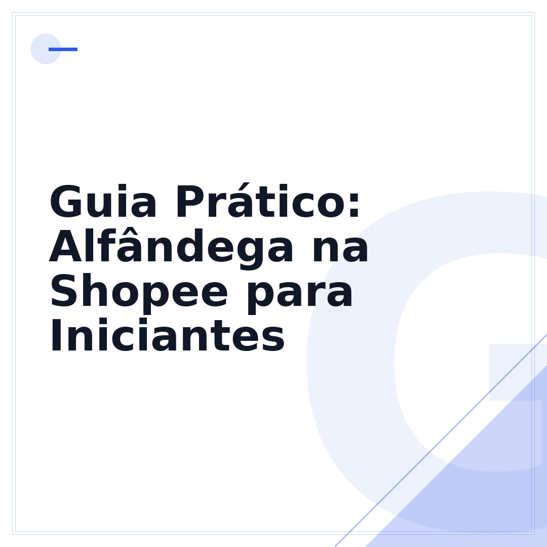 Guia Prático: Alfândega na Shopee para Iniciantes