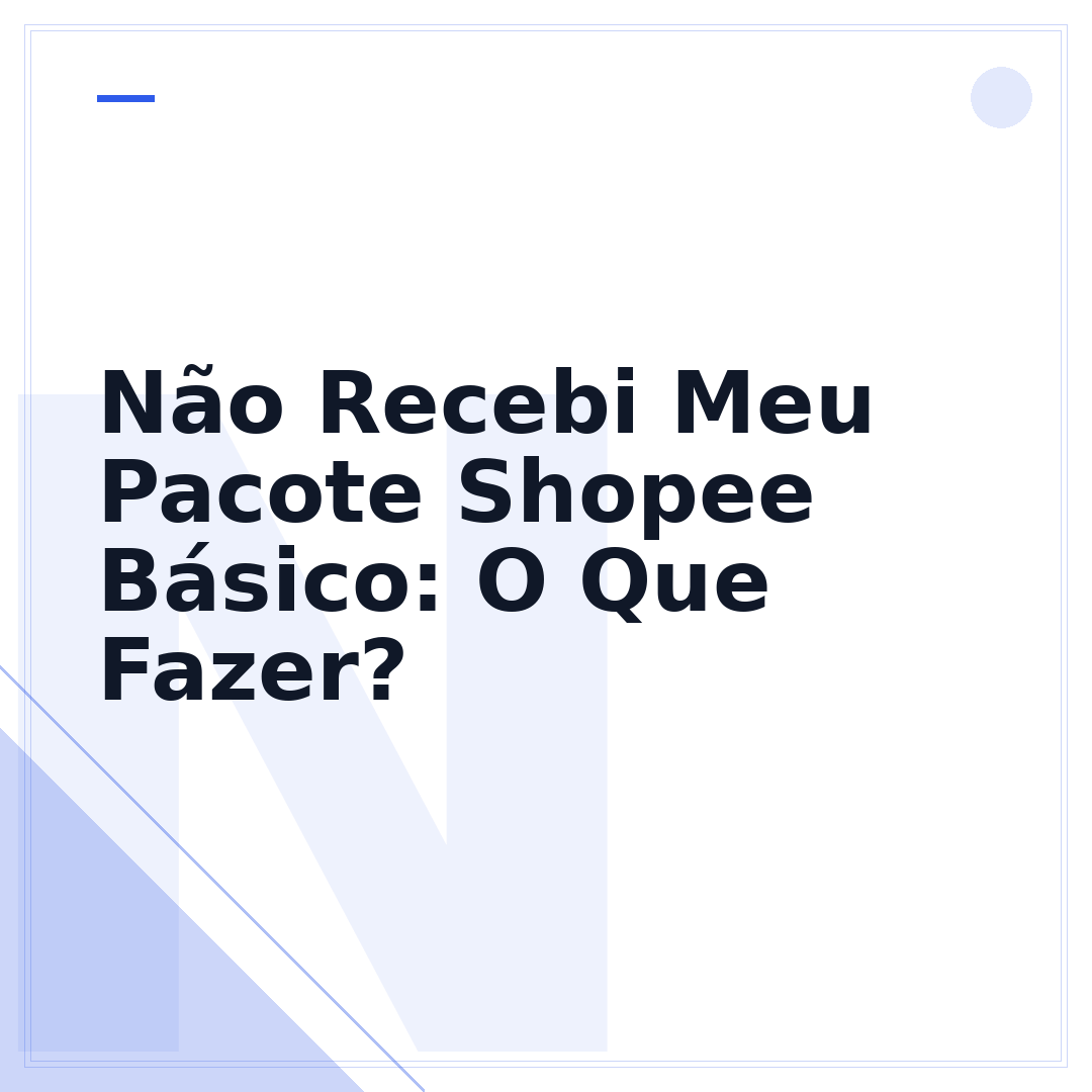 Não Recebi Meu Pacote Shopee Básico: O Que Fazer?