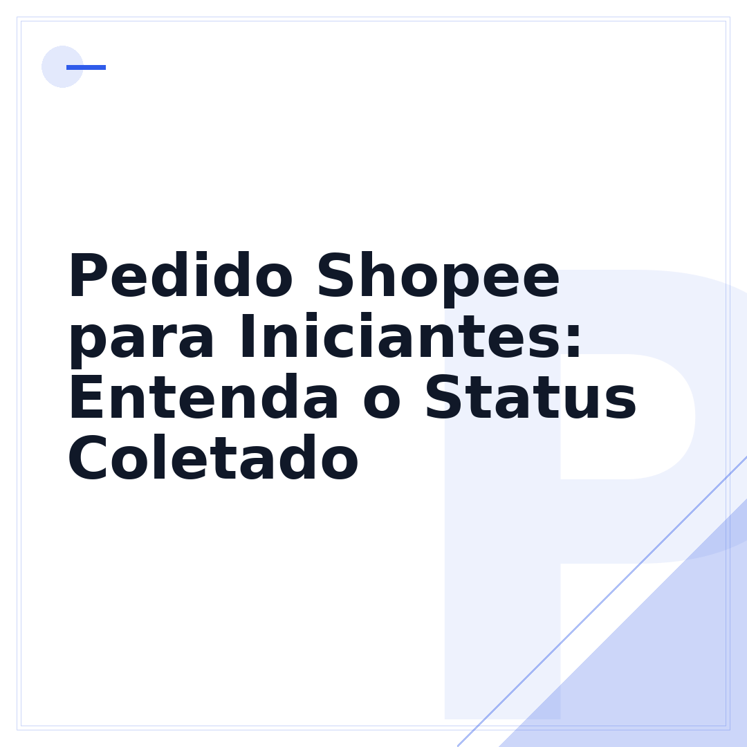 Pedido Shopee para Iniciantes: Entenda o Status Coletado