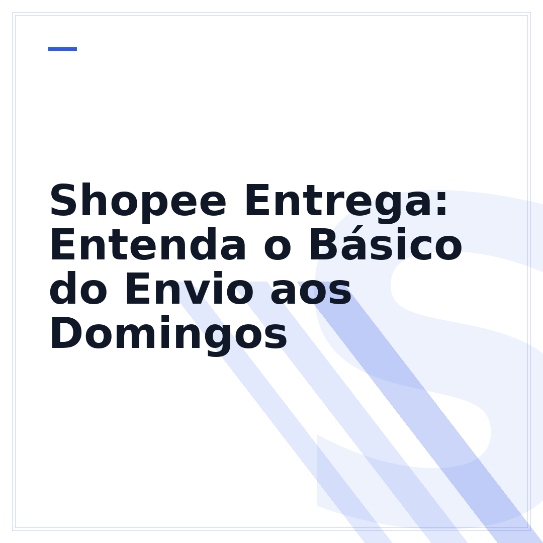 Shopee Entrega: Entenda o Básico do Envio aos Domingos