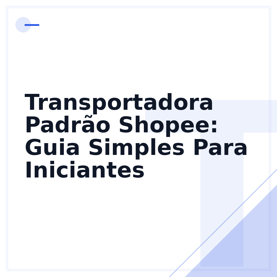 Transportadora Padrão Shopee: Guia Simples Para Iniciantes